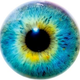Image for article titled The optical illusion that works on different species
